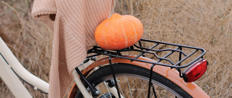 a fall seasonal photo of a bike and pumpkin