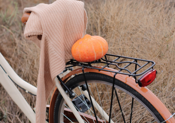 a fall seasonal photo of a bike and pumpkin